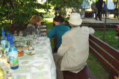 P7100137