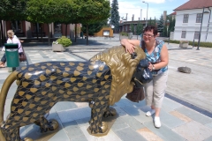 ungarn_2009 (13)