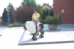 ungarn_2009 (21)