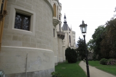 IMG_2010